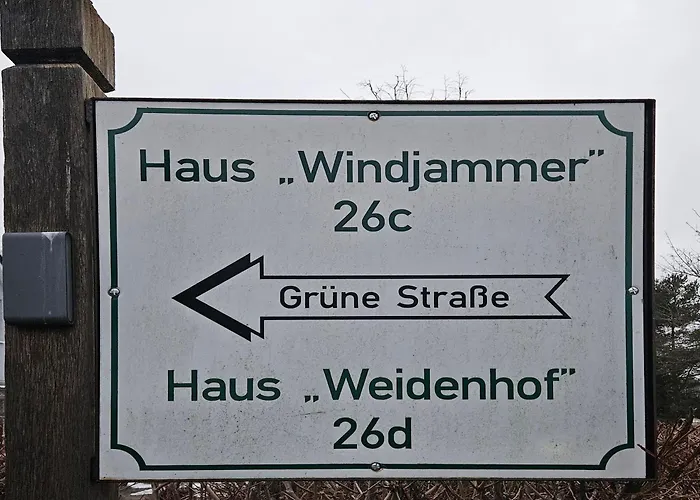 Zander 10 * بريرو